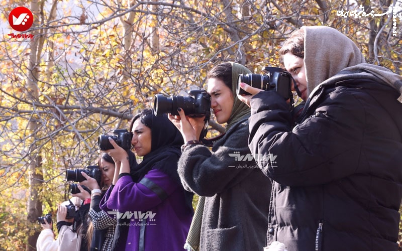 چگونه یک فیلمبردار حرفه ای شویم؟ راهنمای کامل