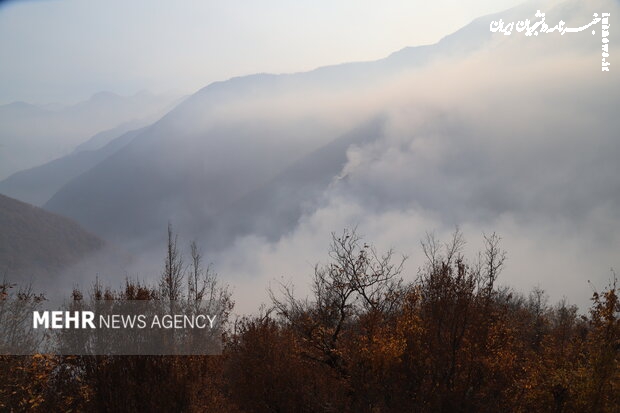  ۵۲۰ نفر در اطفای حریق جنگل‌های چالوس مشارکت کردند