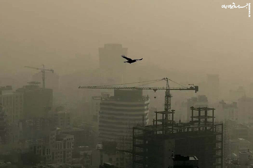 آلودگی هوا ؛ تهدیدی که زنان را بیشتر از مردان نشانه می گیرد