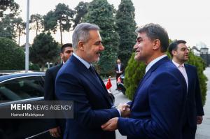 دیدار وزیر امور خارجه ترکیه با رئیس مجلس شورای اسلامی +عکس