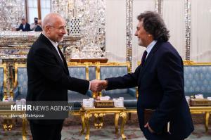 دیدار وزیر امور خارجه ترکیه با رئیس مجلس شورای اسلامی +عکس