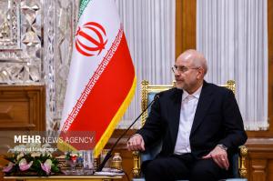 دیدار وزیر امور خارجه ترکیه با رئیس مجلس شورای اسلامی +عکس