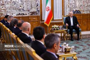 دیدار وزیر امور خارجه ترکیه با رئیس مجلس شورای اسلامی +عکس