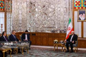 دیدار وزیر امور خارجه ترکیه با رئیس مجلس شورای اسلامی +عکس