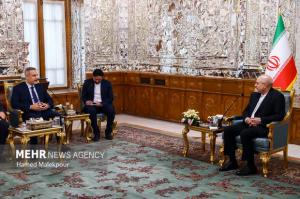 دیدار وزیر امور خارجه ترکیه با رئیس مجلس شورای اسلامی +عکس