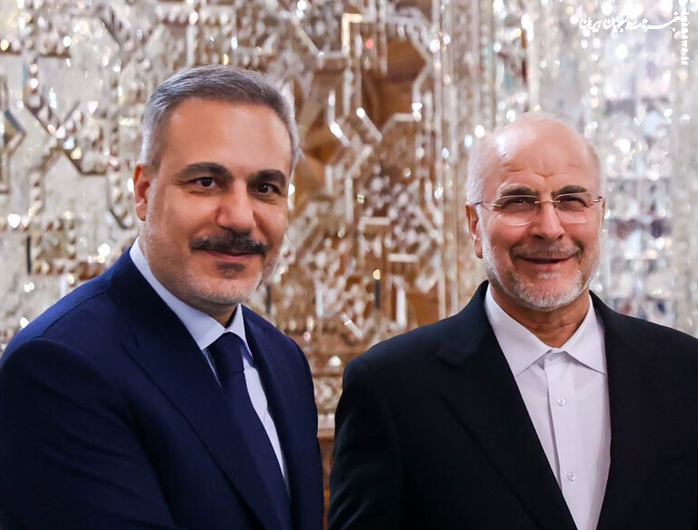 دیدار وزیر امور خارجه ترکیه با رئیس مجلس شورای اسلامی +عکس