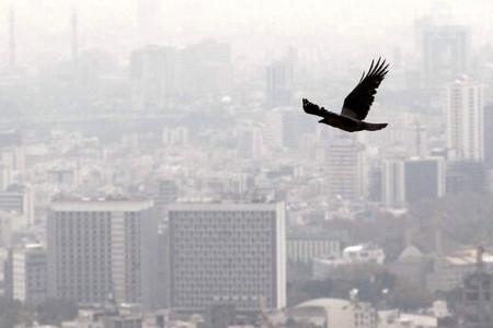 فوت ۳۵۷ تهرانی در یک هفته بر اثر آلودگی هوا