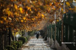 تهران در انتظار پاییز +عکس