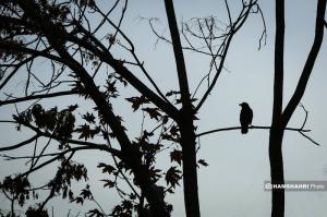 تهران در انتظار پاییز +عکس