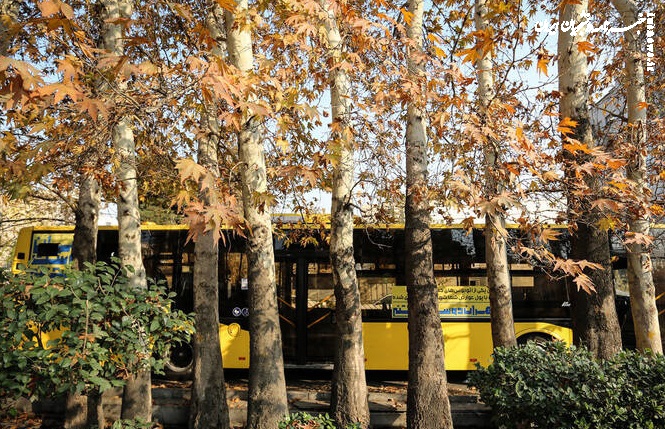 تهران در انتظار پاییز +عکس