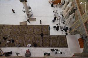 مفروش شدن صحن ‌مطهر علوی با فرش ایرانی +عکس