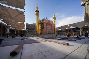 مفروش شدن صحن ‌مطهر علوی با فرش ایرانی +عکس