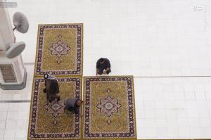 مفروش شدن صحن ‌مطهر علوی با فرش ایرانی +عکس
