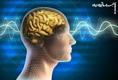 خواندن سیگنال‌های پنهان مغز با فناوری جدید محقق ایرانی