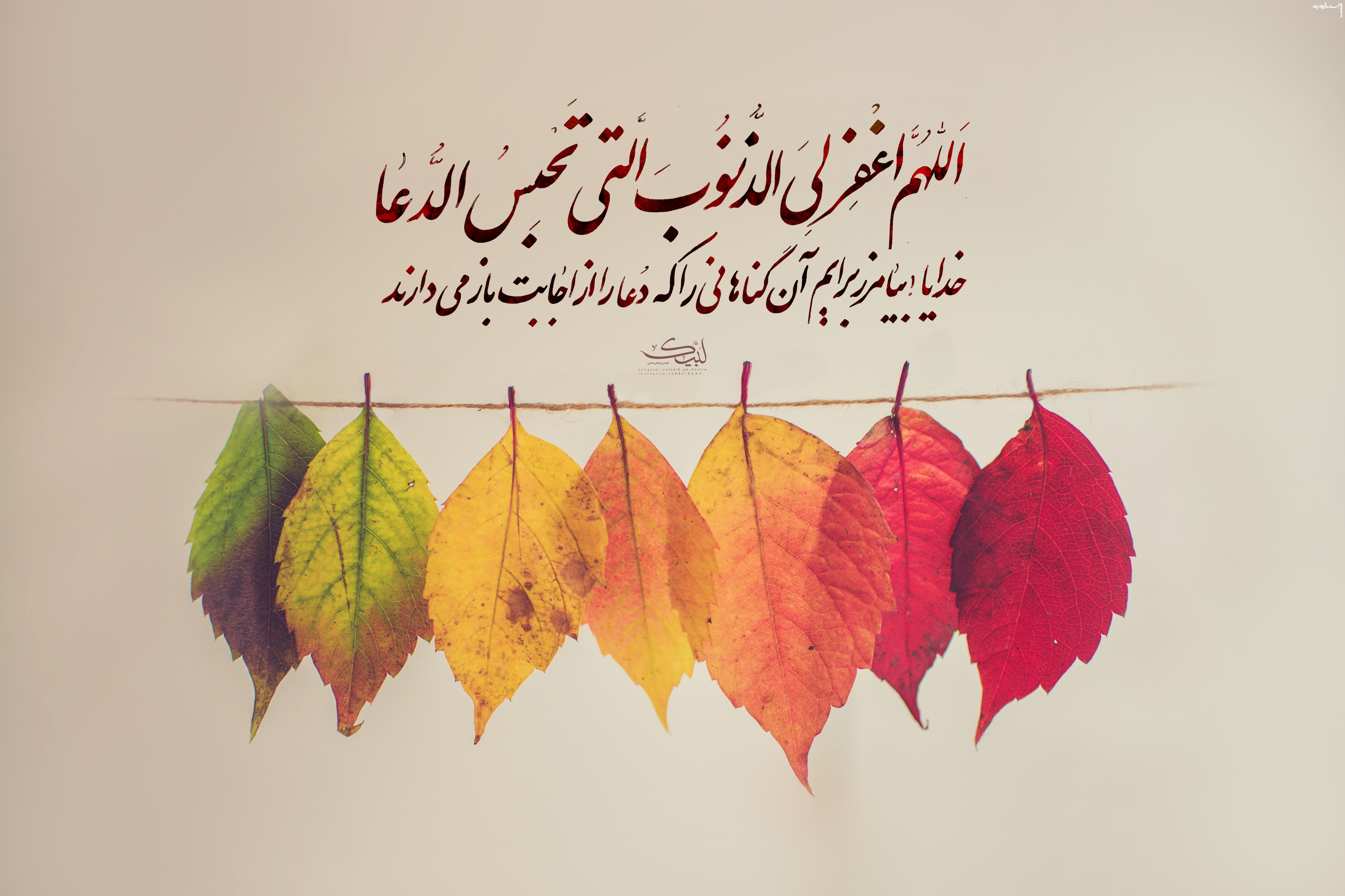 حضور پرشور دانشجویان عمره‌گزار در مراسم معنوی دعای کمیل