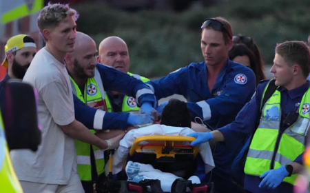 سایه روشن ماجرای سیدنی