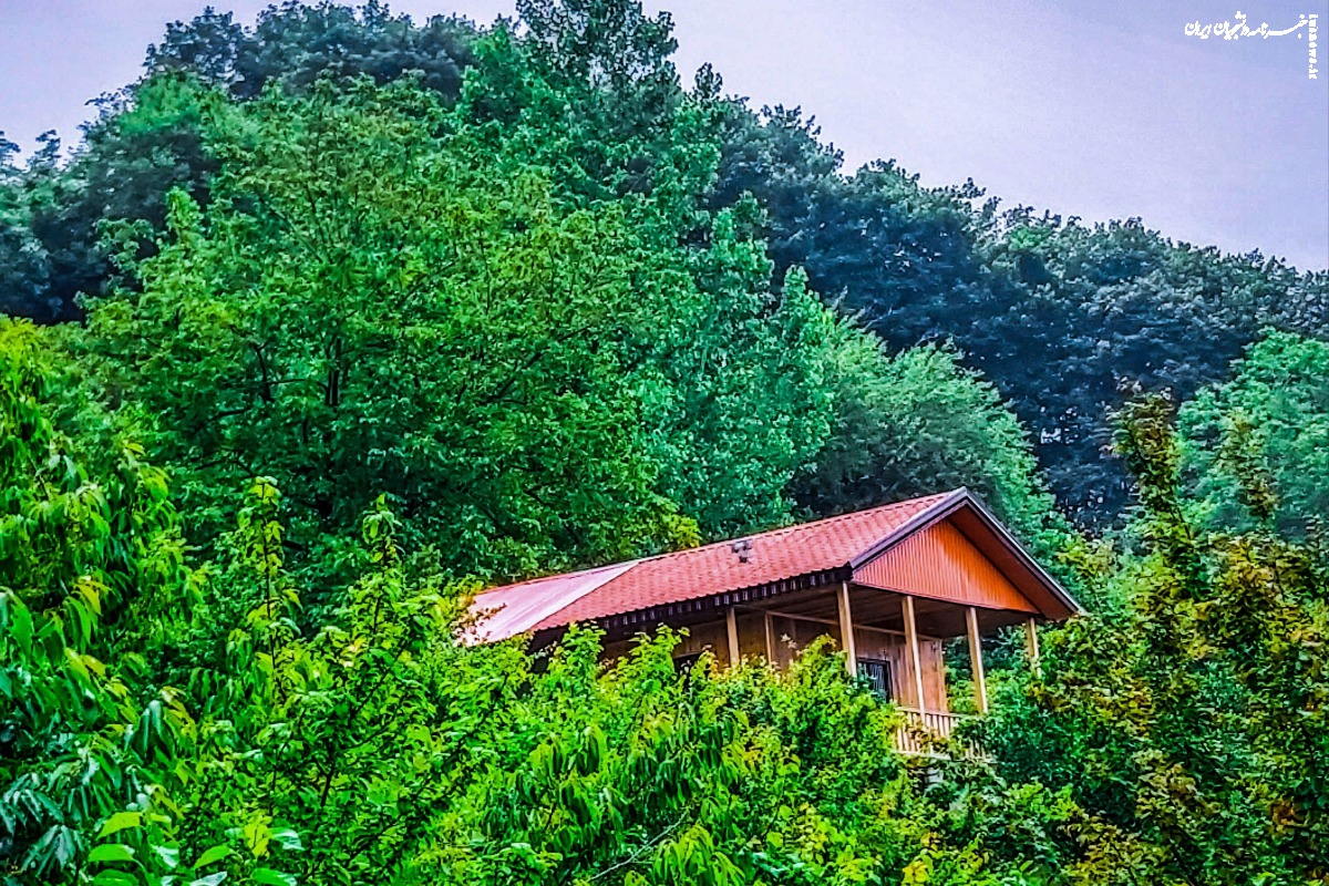 چگونه با هوشمندی اقتصادی، بهترین اجاره ویلا را در شمال تجربه کنیم؟