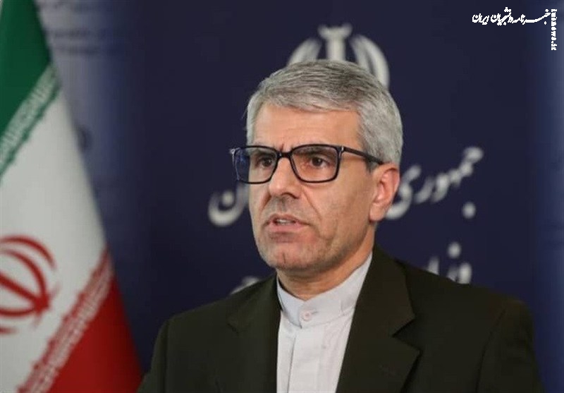 بقائی: آمریکا عدالت‌خواهان را تحریم و نسل‌کش‌ها را آزاد گذاشت