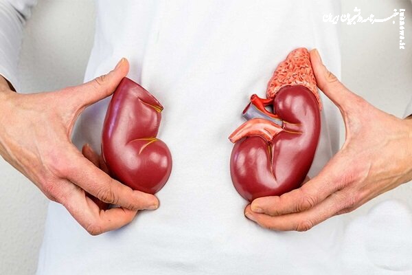 پیشگیری از بیماری‌های کلیوی با چکاپ منظم