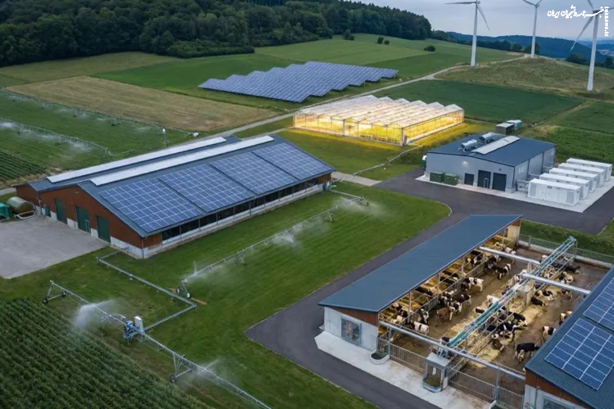 راهکارهای جلوگیری از خسارت‌های ناشی از قطعی برق در واحدهای کشاورزی و دامداری