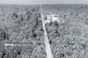 بهترین عکس‌های هوایی‌ سال ۲۰۲۵