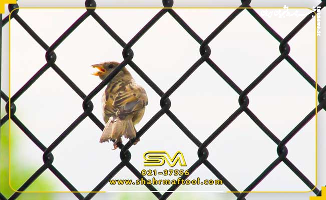 راهنمای جامع خرید و قیمت توری حصاری، توری پرسی، توری گابیون و توری مرغی: ویژگی‌ها و کاربردها