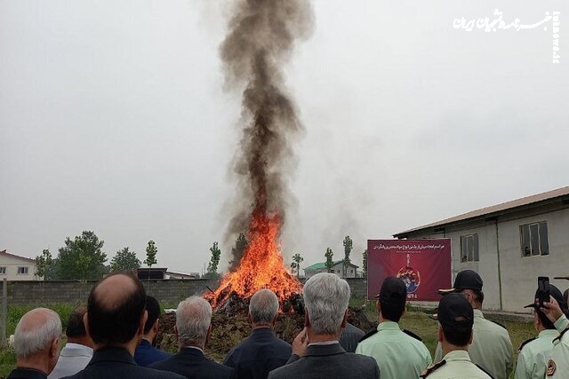 امحای بیش از یک تن انواع مواد مخدر و روانگردان در گیلان 