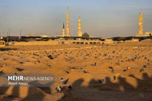 کاروان عمره دانشگاهیان