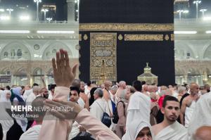 کاروان عمره دانشگاهیان