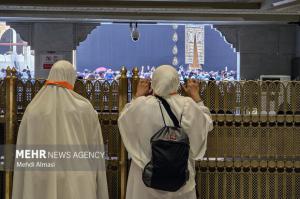 کاروان عمره دانشگاهیان