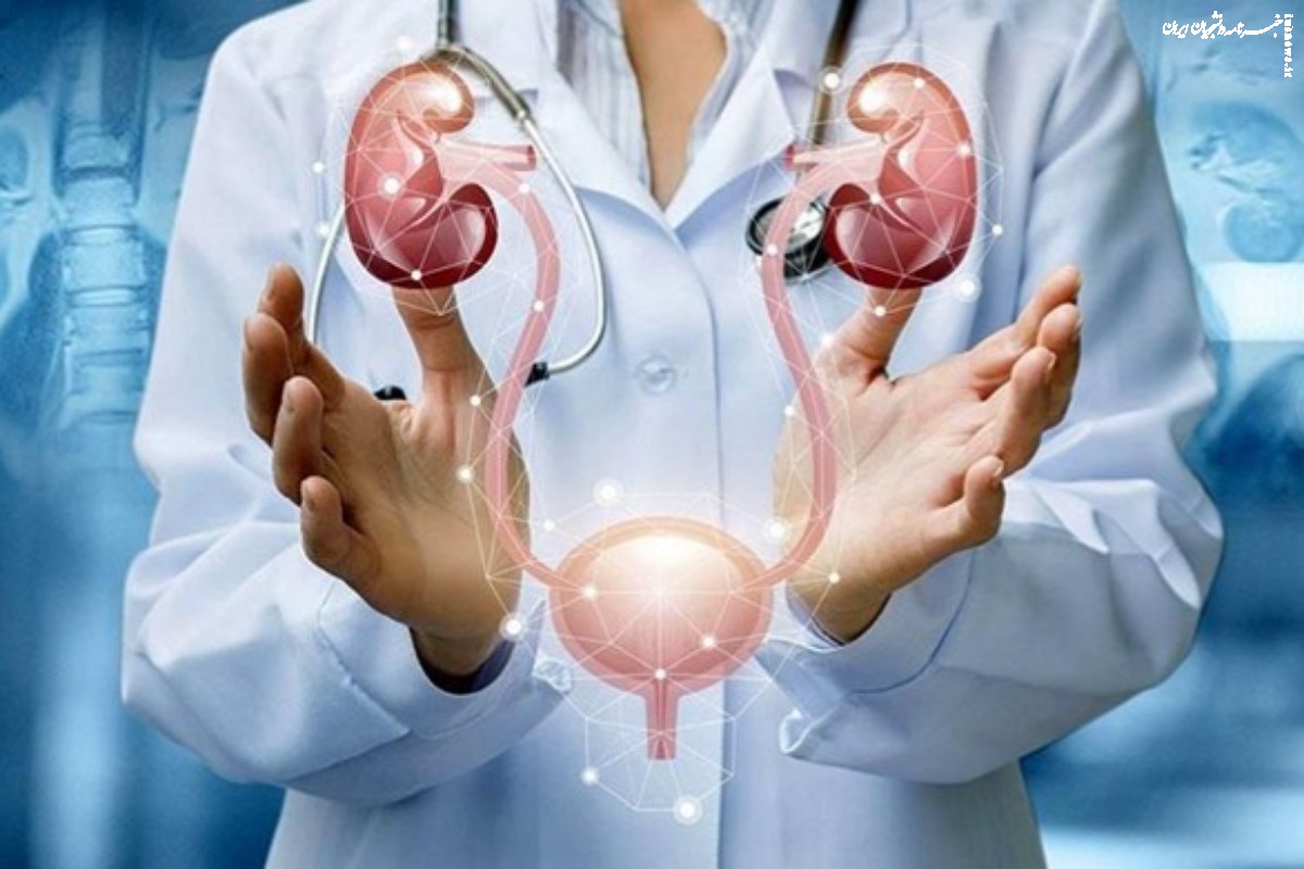 اگر به دنبال بهترین متخصص اورولوژی در مشهد هستید؛ این مرکز تخصصی را بشناسید