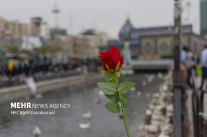 حال و هوای کربلا در ایام ولادت امام زمان (ع) +عکس