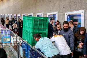 چهارمین روز چهل‌وچهارمین جشنواره‌ فیلم فجر +عکس