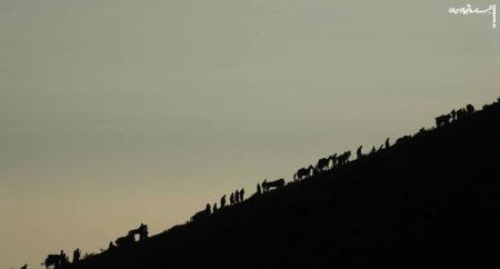 کوچ؛ روایتی صادق، اما ناتمام در مسیر سینما