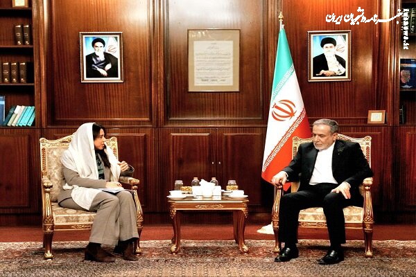 دیدار وزیر مشاور در وزارت امور خارجه امارات با وزیر امور خارجه