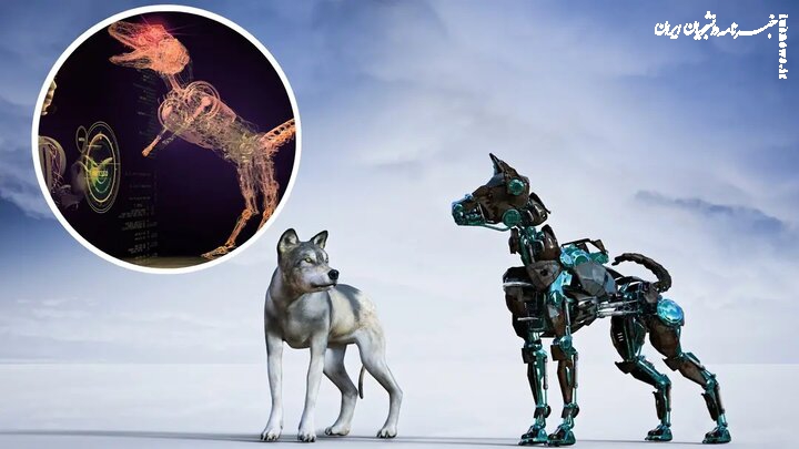 هوش مصنوعی حیواناتی با قابلیت توسعه بینایی می سازد