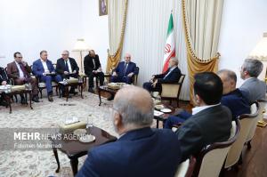 دیدار وزیر انرژی روسیه با دبیر شورای عالی امنیت ملی +عکس