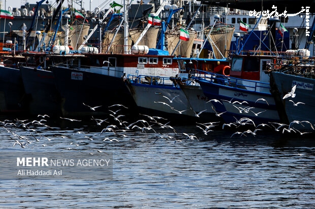  Iran denies news on halt to ships movements towards its ports