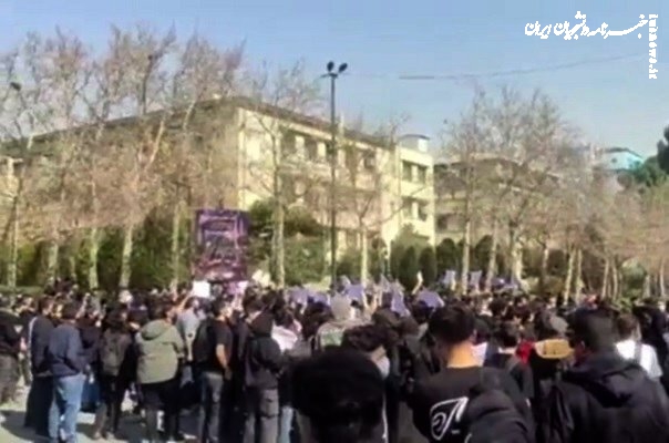 فردگرایی بی‌ریشه در دانشگاه