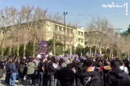 فردگرایی بی‌ریشه در دانشگاه