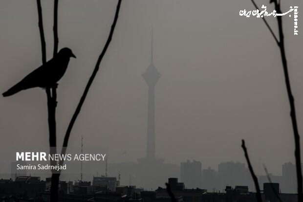 هوای تهران آلوده است