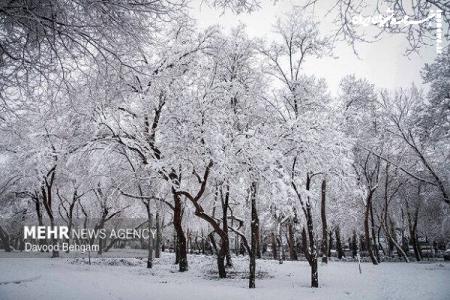 بارش برف و سرمای شدید در راه مشهد از امشب