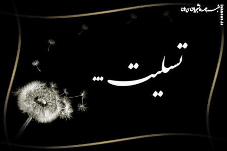 شهادت یک دانشجوی دکتری دانشگاه زنجان