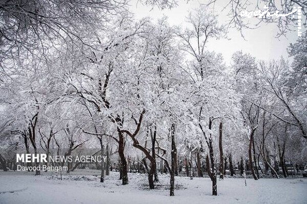 هشدار زرد هواشناسی برای ۲۸ استان