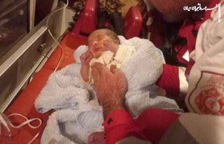 تداوم جنایات متجاوزان در تهران؛ شهادت نوزاد ۳ ماهه 