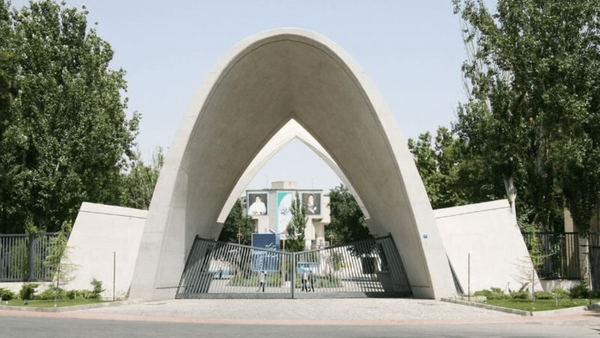ققنوس وار اوج خواهیم گرفت