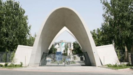 ققنوس وار اوج خواهیم گرفت