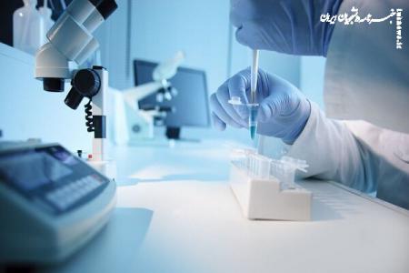 اقداماتی برای تسهیل دسترسی پژوهشگران به اینترنت