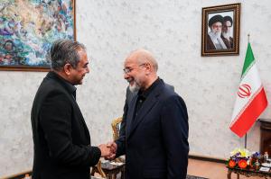 دیدار وزیر کشور پاکستان با محمدباقر قالیباف +عکس