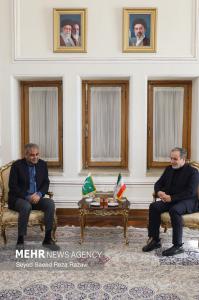 دیدار وزیر کشور پاکستان با وزیرامور خارجه +عکس